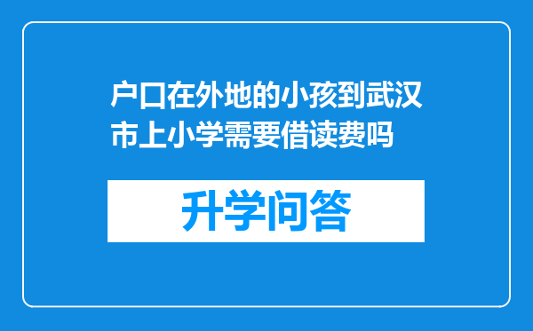 户口在外地的小孩到武汉市上小学需要借读费吗
