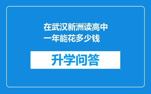 在武汉新洲读高中一年能花多少钱