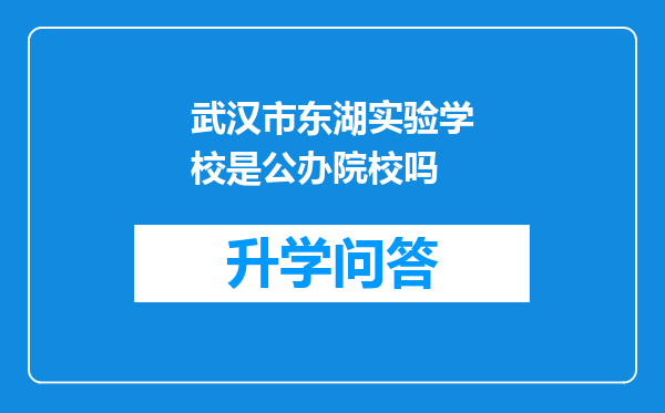 武汉市东湖实验学校是公办院校吗