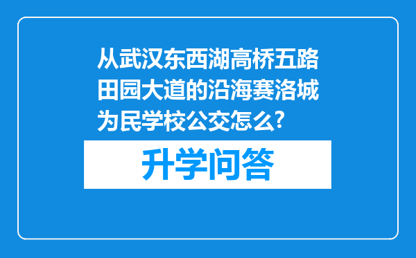 从武汉东西湖高桥五路田园大道的沿海赛洛城为民学校公交怎么?