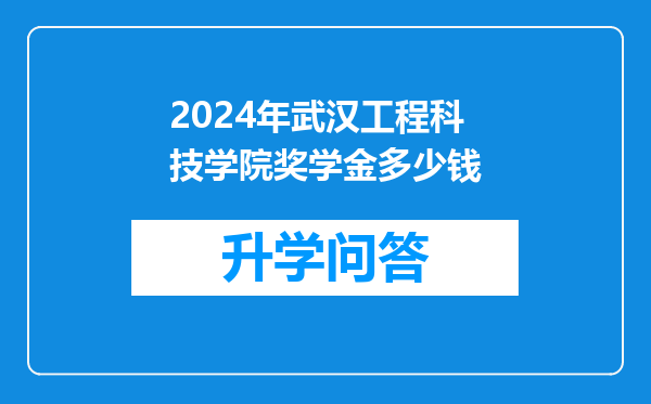2024年武汉工程科技学院奖学金多少钱