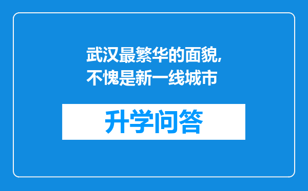 武汉最繁华的面貌,不愧是新一线城市