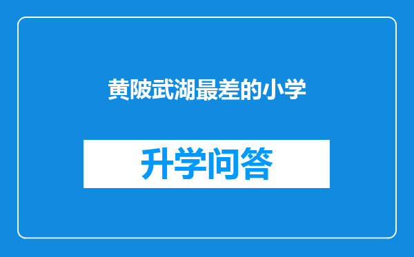 黄陂武湖最差的小学