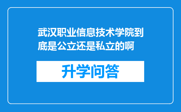 武汉职业信息技术学院到底是公立还是私立的啊