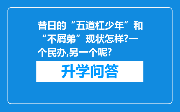 昔日的“五道杠少年”和“不屑弟”现状怎样?一个民办,另一个呢?