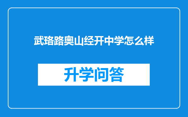 武珞路奥山经开中学怎么样