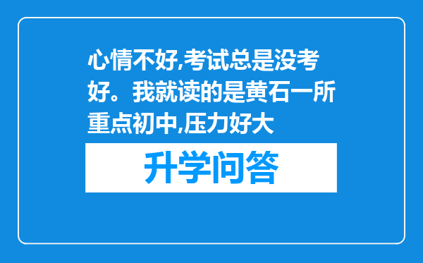 心情不好,考试总是没考好。我就读的是黄石一所重点初中,压力好大