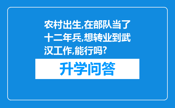 农村出生,在部队当了十二年兵,想转业到武汉工作,能行吗?