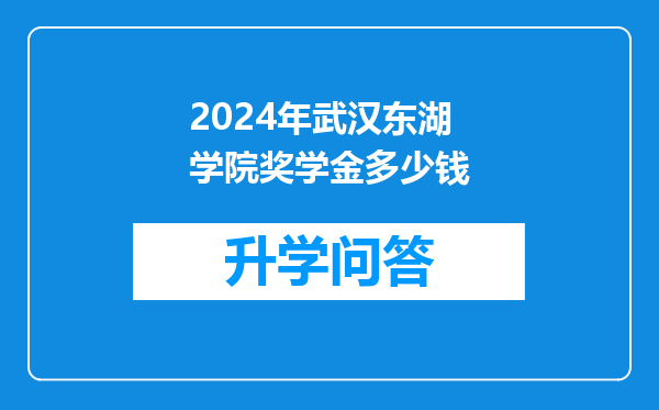 2024年武汉东湖学院奖学金多少钱