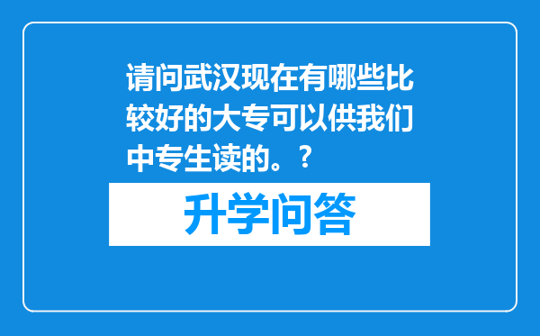 请问武汉现在有哪些比较好的大专可以供我们中专生读的。?