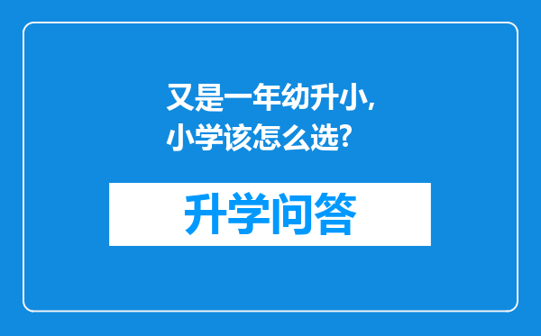 又是一年幼升小,小学该怎么选?