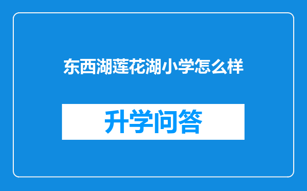东西湖莲花湖小学怎么样
