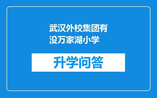武汉外校集团有没万家湖小学