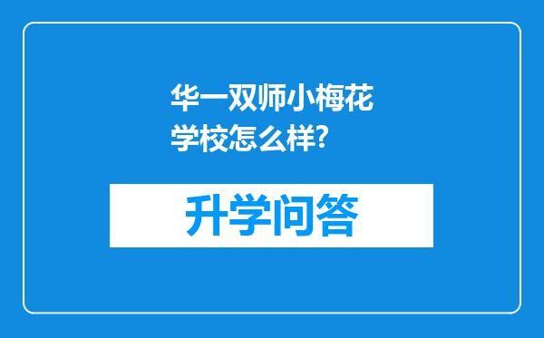 华一双师小梅花学校怎么样?