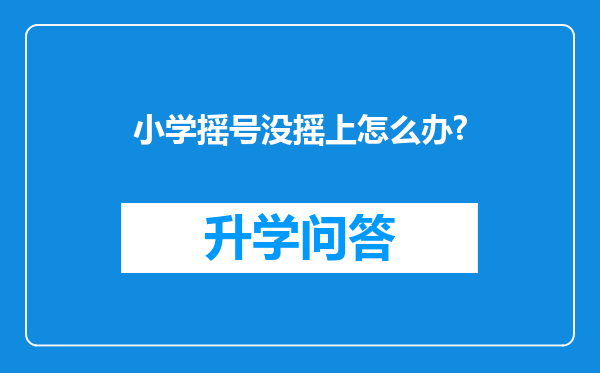 小学摇号没摇上怎么办?