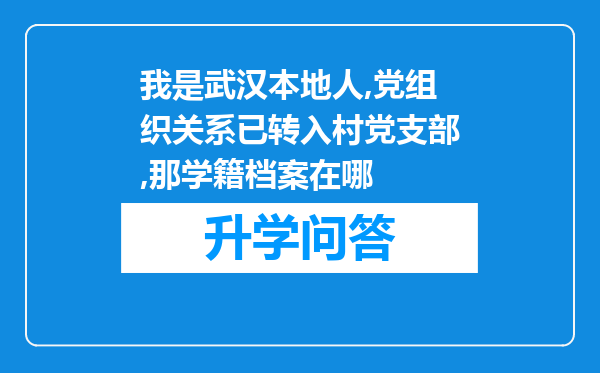 我是武汉本地人,党组织关系已转入村党支部,那学籍档案在哪