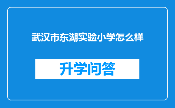 武汉市东湖实验小学怎么样