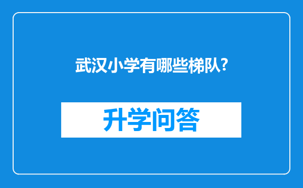 武汉小学有哪些梯队?
