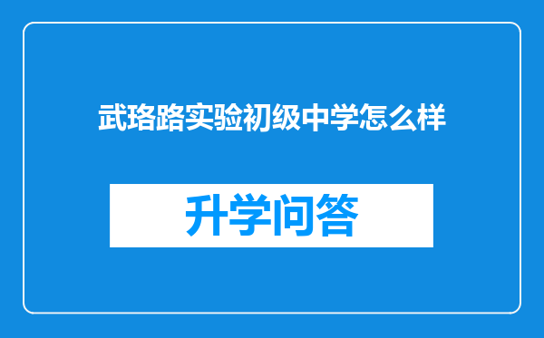 武珞路实验初级中学怎么样