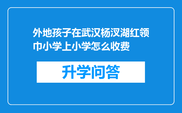 外地孩子在武汉杨汊湖红领巾小学上小学怎么收费
