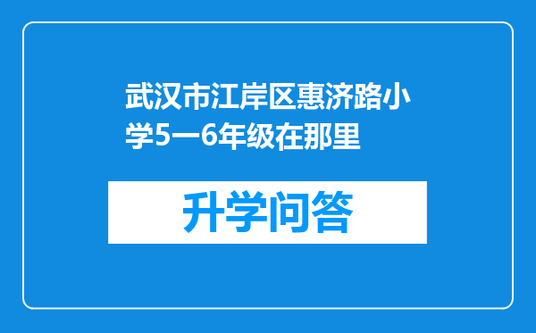 武汉市江岸区惠济路小学5一6年级在那里