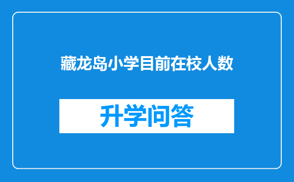 藏龙岛小学目前在校人数