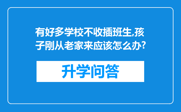 有好多学校不收插班生,孩子刚从老家来应该怎么办?