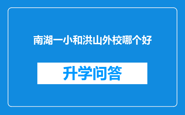 南湖一小和洪山外校哪个好