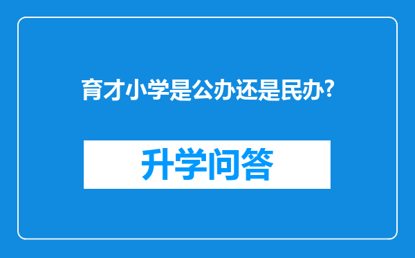 育才小学是公办还是民办?
