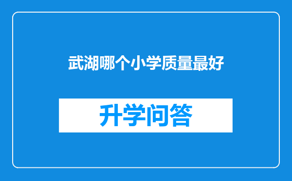 武湖哪个小学质量最好