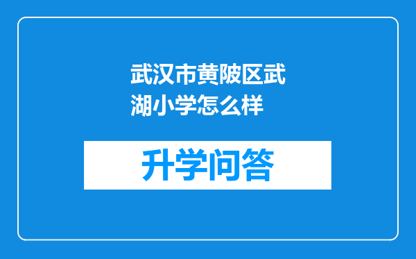 武汉市黄陂区武湖小学怎么样