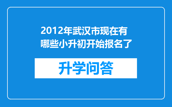 2012年武汉市现在有哪些小升初开始报名了