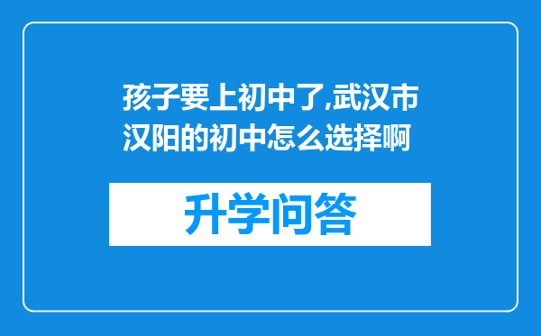 孩子要上初中了,武汉市汉阳的初中怎么选择啊