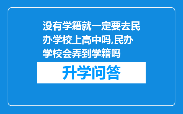没有学籍就一定要去民办学校上高中吗,民办学校会弄到学籍吗