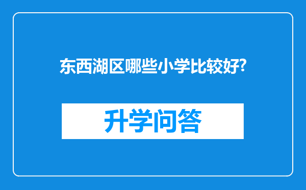 东西湖区哪些小学比较好?