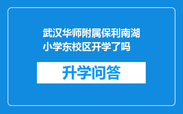 武汉华师附属保利南湖小学东校区开学了吗