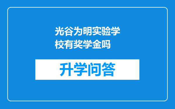 光谷为明实验学校有奖学金吗
