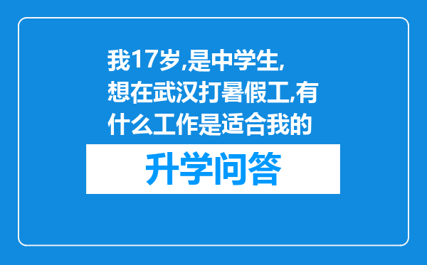 我17岁,是中学生,想在武汉打暑假工,有什么工作是适合我的
