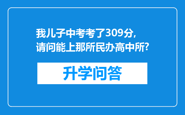 我儿子中考考了309分,请问能上那所民办高中所?