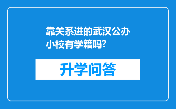 靠关系进的武汉公办小校有学籍吗?