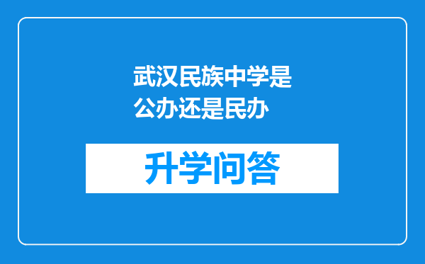 武汉民族中学是公办还是民办