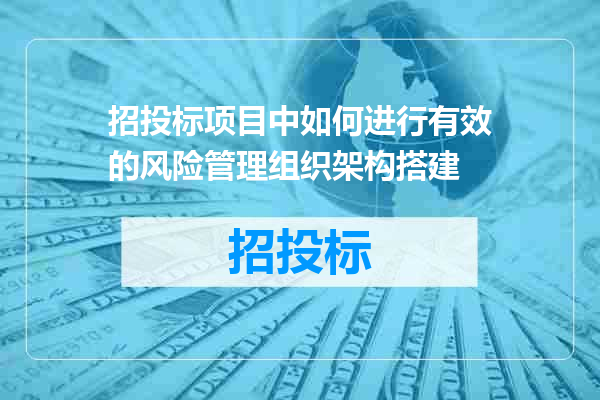 招投标项目中如何进行有效的风险管理组织架构搭建