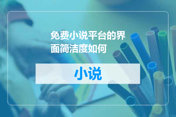 免费小说平台的界面简洁度如何
