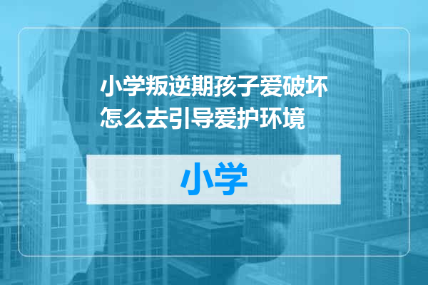 小学叛逆期孩子爱破坏怎么去引导爱护环境