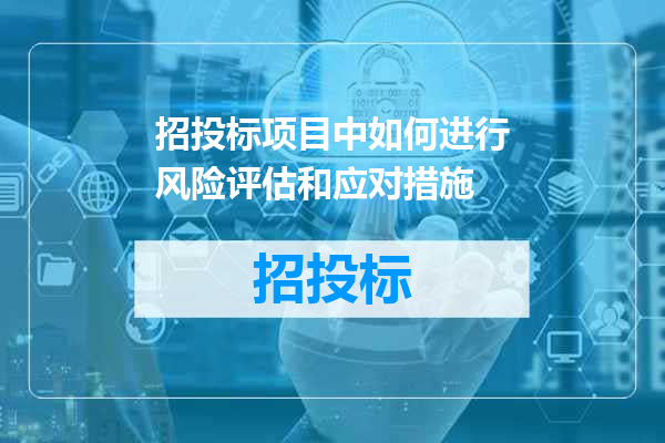 招投标项目中如何进行风险评估和应对措施