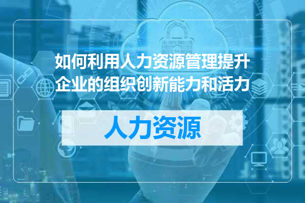如何利用人力资源管理提升企业的组织创新能力和活力