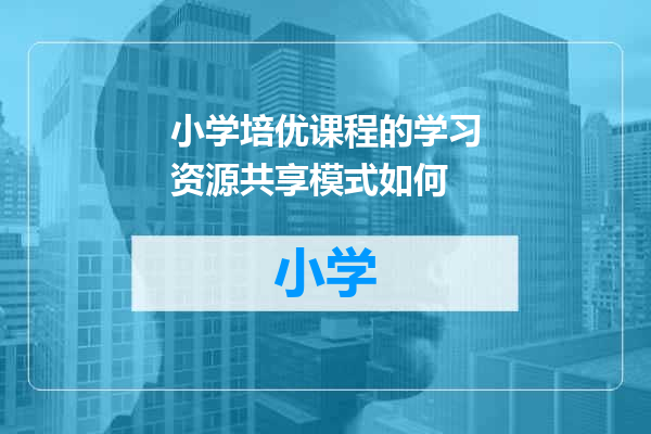 小学培优课程的学习资源共享模式如何