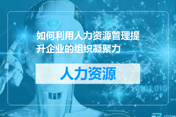 如何利用人力资源管理提升企业的组织凝聚力