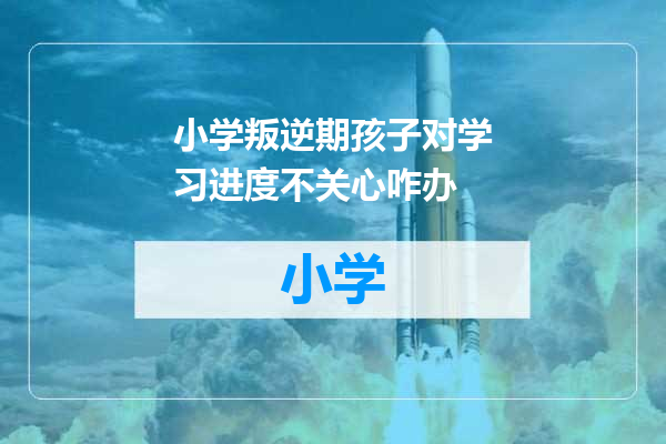 小学叛逆期孩子对学习进度不关心咋办