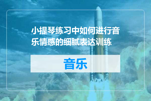 小提琴练习中如何进行音乐情感的细腻表达训练